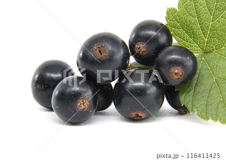 Fresh black currants with green leaves isolated on a white background Fresh black currants with green leaves isolated on a white background 116411425