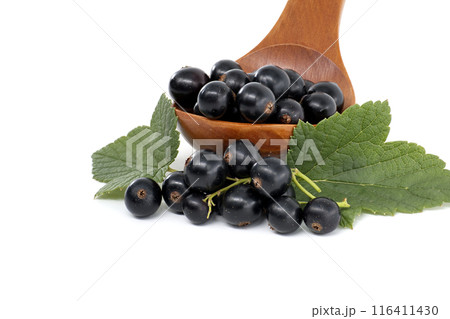 Fresh black currants in a wooden spoon with green leaves on a white background 116411430
