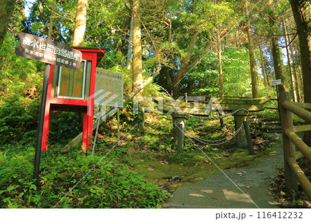牛根麓の稲荷神社の埋没鳥居とその周辺の風景 116412232