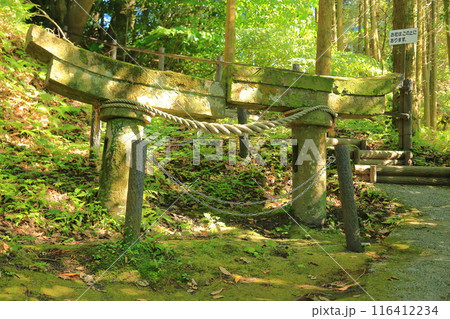 牛根麓の稲荷神社の埋没鳥居 牛根麓の稲荷神社の埋没鳥居 116412234