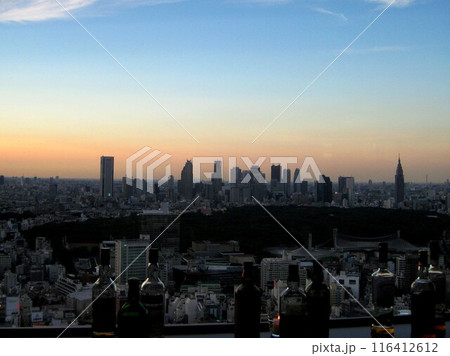 2008.8.7 明治神宮の森と新宿高層ビル群の夕景 116412612