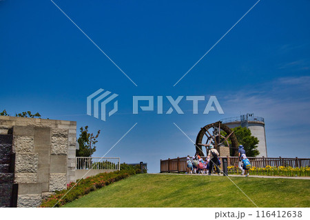 ゆりの里公園 ゆりの里公園 116412638