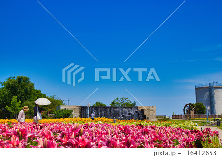 ゆりの里公園 116412653