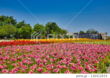 ゆりの里公園 ゆりの里公園 116412654