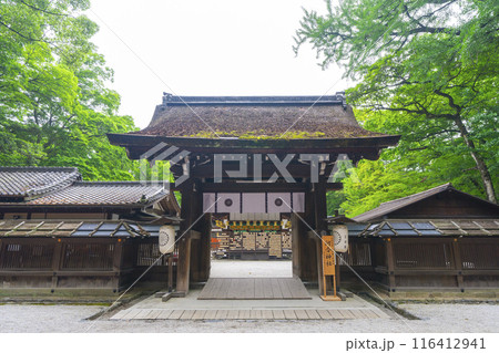 初夏の京都 新緑の河合神社 中門 初夏の京都 新緑の河合神社 中門 116412941