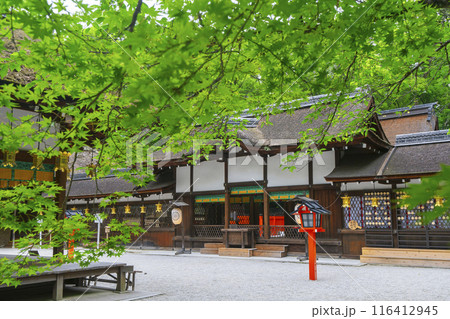 初夏の京都 新緑の河合神社 本殿 初夏の京都 新緑の河合神社 本殿 116412945