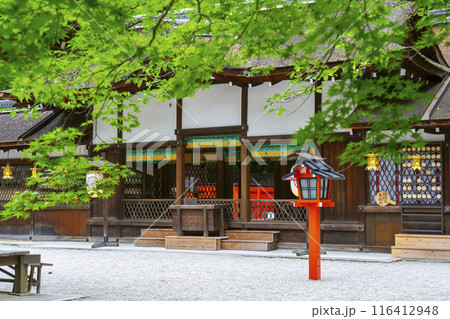 初夏の京都　新緑の河合神社　本殿 116412948