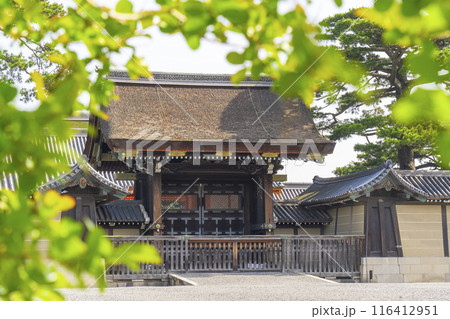 京都御所　新緑に包まれた建礼門 116412951