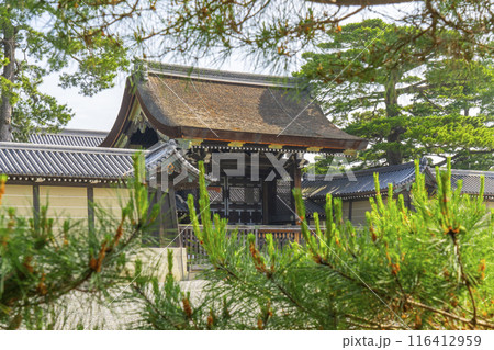 京都御所　新緑に包まれた建礼門 116412959