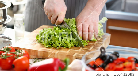 Chef Hands Cutting Green Fresh Lettuce Ingredient Chef Hands Cutting Green Fresh Lettuce Ingredient 116412995