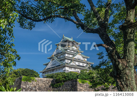樹林の間から眺めた大阪城天守閣 116413008