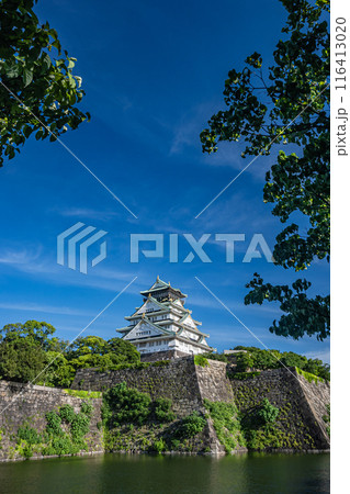 内堀越しに見る大阪城天守閣 内堀越しに見る大阪城天守閣 116413020