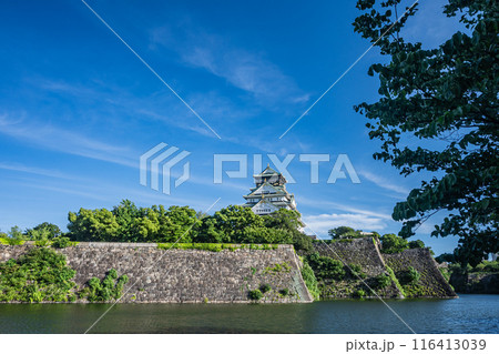 内堀越しの大阪城天守閣 116413039
