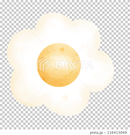 flower flower 116413049