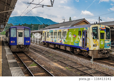 関西線柘植駅停車中のキハ120系普通車 ラッピング車 関西線柘植駅停車中のキハ120系普通車 ラッピング車 116413141