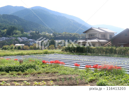大原の風景 大原の風景 116413203