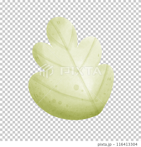 leaves and branch leaves and branch 116413304