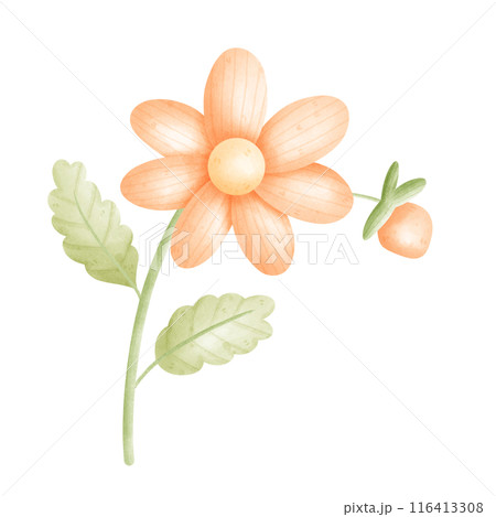 flower 116413308