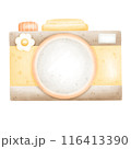 Cute camera in summer or spring 116413390