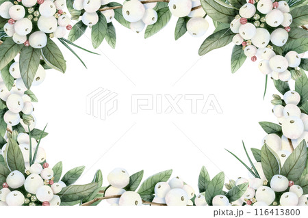 Horizontal or vertical snowberry frame template with branches and white berries watercolor isolated illustration with copy space. Hand drawn Christmas plant botanical clipart 116413800
