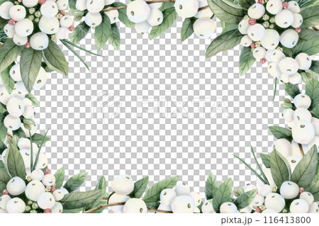 Horizontal or vertical snowberry frame template with branches and white berries watercolor isolated illustration with copy space. Hand drawn Christmas plant botanical clipart 116413800