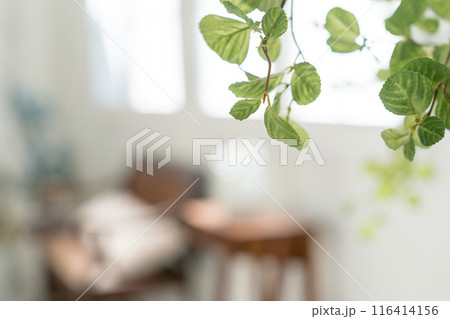 明るい室内のインテリア 116414156