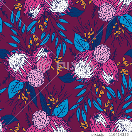 Seamless pattern with colorful protea flowers on purple background 116414336