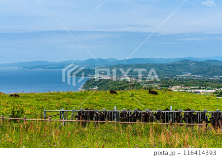 新緑の牧場の里あづま　黒毛和牛　【長崎県雲仙市】 116414393
