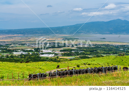 新緑の牧場の里あづま 黒毛和牛 【長崎県雲仙市】 新緑の牧場の里あづま 黒毛和牛 【長崎県雲仙市】 116414525