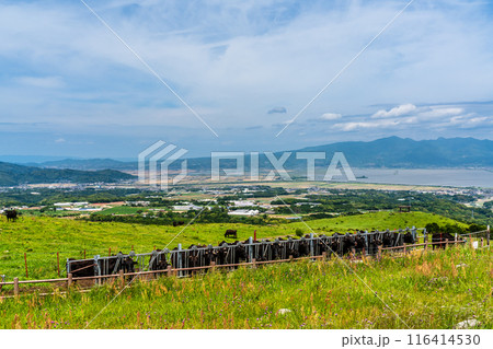 新緑の牧場の里あづま 黒毛和牛 【長崎県雲仙市】 新緑の牧場の里あづま 黒毛和牛 【長崎県雲仙市】 116414530