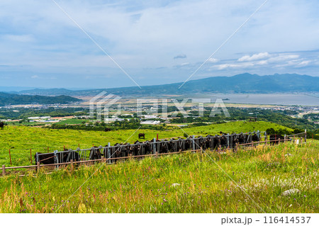 新緑の牧場の里あづま　黒毛和牛　【長崎県雲仙市】 116414537
