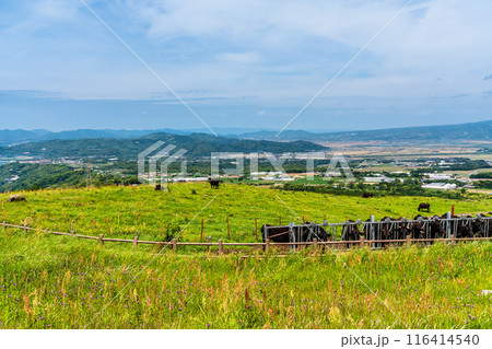 新緑の牧場の里あづま　黒毛和牛　【長崎県雲仙市】 116414540
