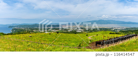新緑の牧場の里あづま　黒毛和牛　パノラマ　【長崎県雲仙市】 116414547