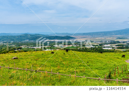 新緑の牧場の里あづま　黒毛和牛　【長崎県雲仙市】 116414554