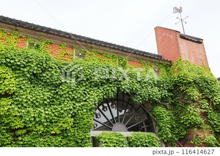 蔦に覆われた建物 116414627