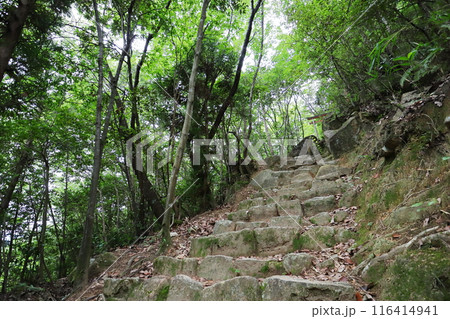 山中の急こう配の石段 山中の急こう配の石段 116414941