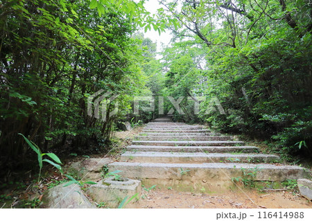 山の中のなだらかな長い石段 山の中のなだらかな長い石段 116414988