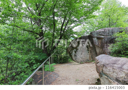神社の境内にある巨石 116415003