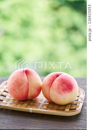 山梨県産白鵬 116415053