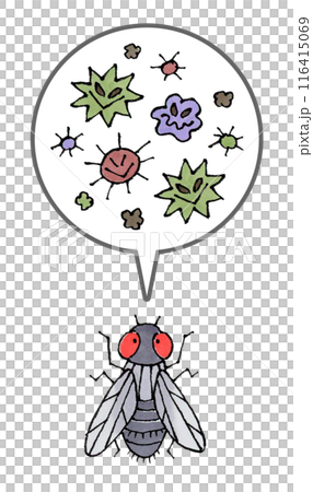 Flies and pathogens Flies and pathogens 116415069