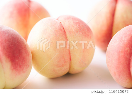 山梨県産白鵬 山梨県産白鵬 116415075