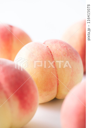 山梨県産白鵬 116415078