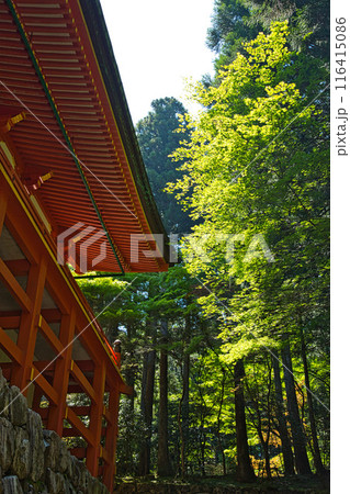 初夏の比叡山延暦寺 初夏の比叡山延暦寺 116415086