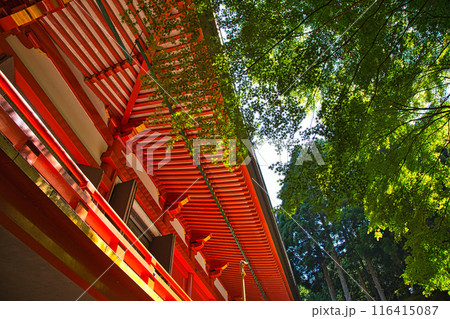 初夏の比叡山延暦寺 初夏の比叡山延暦寺 116415087