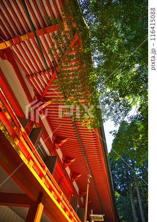 初夏の比叡山延暦寺 116415088