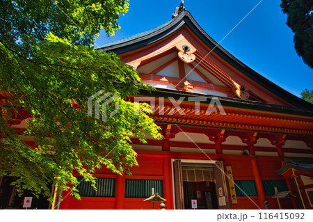 初夏の比叡山延暦寺 116415092