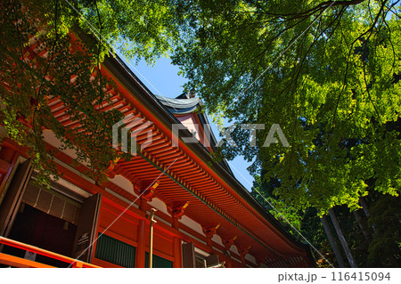 初夏の比叡山延暦寺 初夏の比叡山延暦寺 116415094