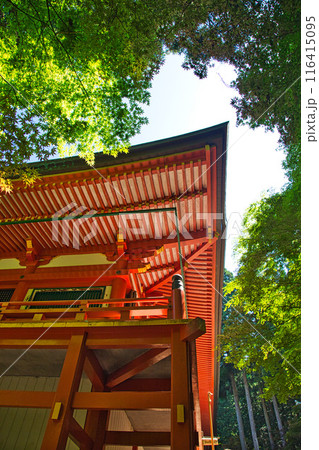 初夏の比叡山延暦寺 初夏の比叡山延暦寺 116415095