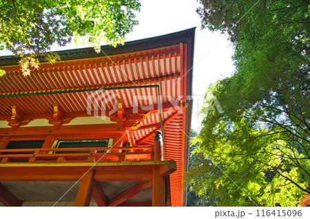 初夏の比叡山延暦寺 初夏の比叡山延暦寺 116415096