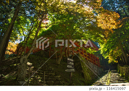 初夏の比叡山延暦寺 初夏の比叡山延暦寺 116415097